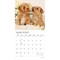 Plato; Puppy Pals | 2027 12 x 24 Inch (Hanging) Monthly Square Wall Calendar | Foil Stamped Cover; Category:Wall Calendars; Image:4